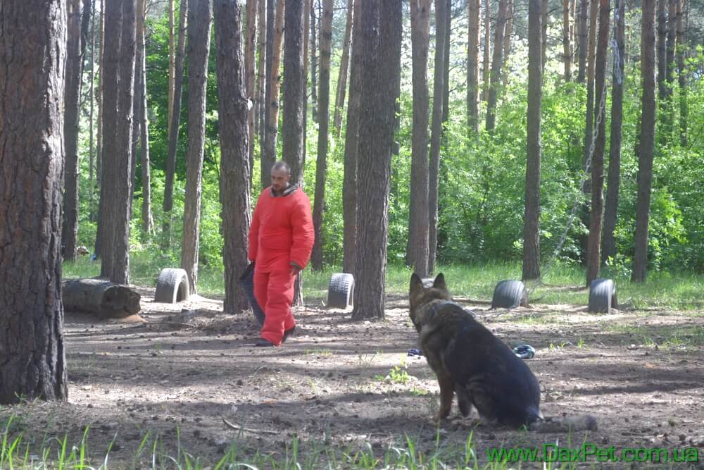 Пример защиты территории