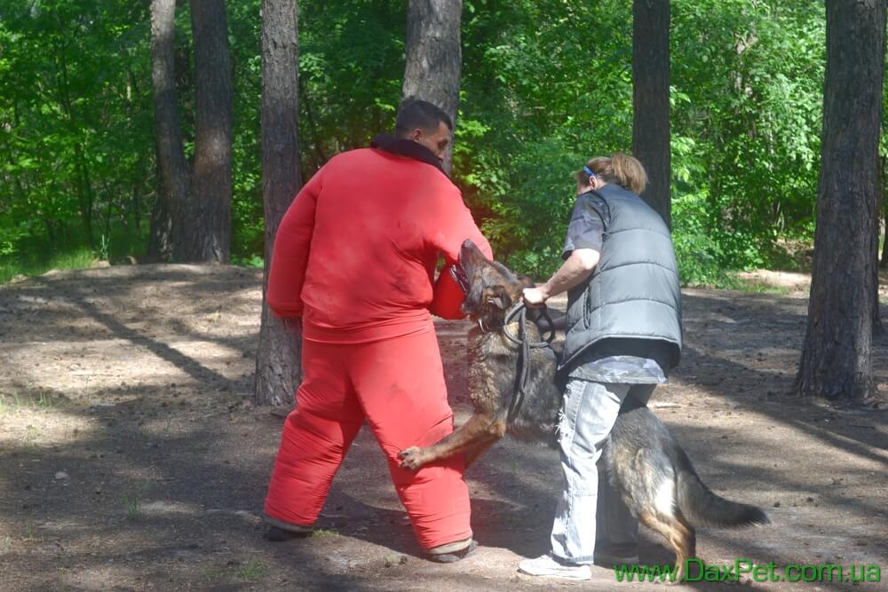 Участники турнира в работе