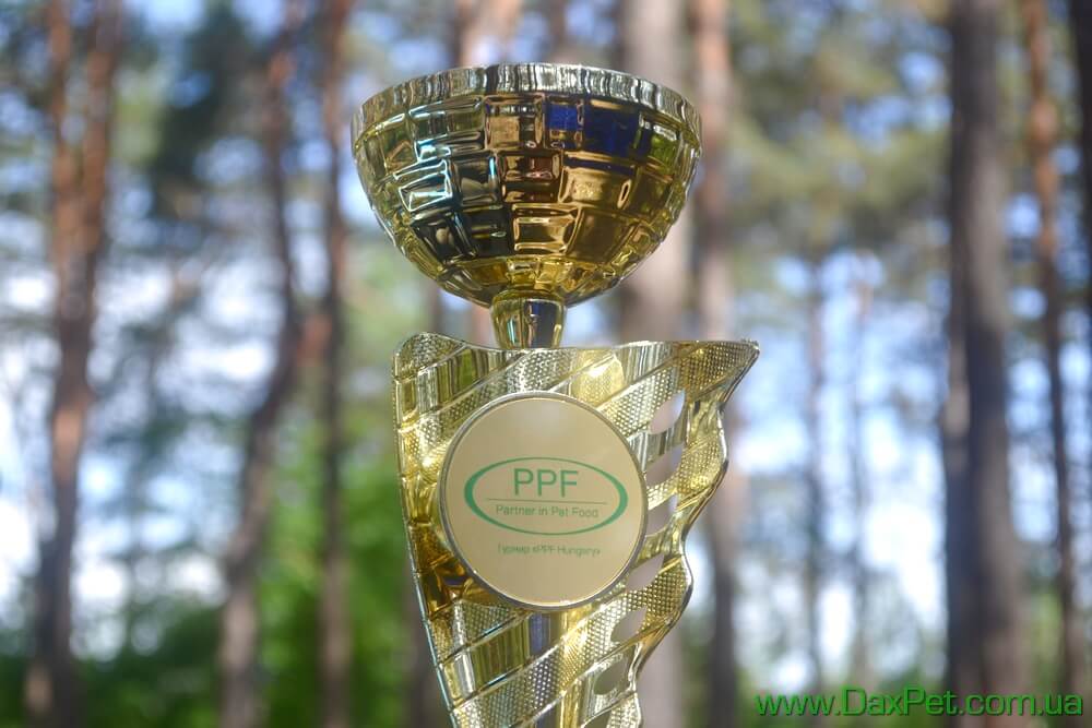 Кубок PPF UKRAINE